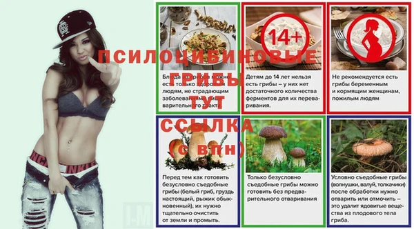 герыч Арсеньев
